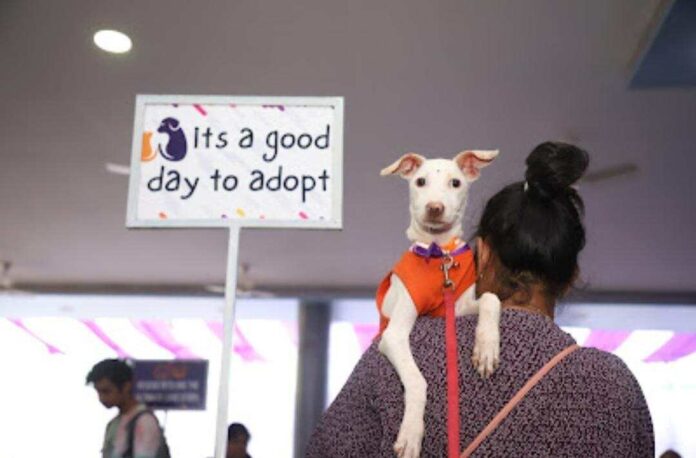 Adoptathon